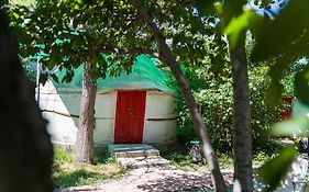 Arista Yurt Camp