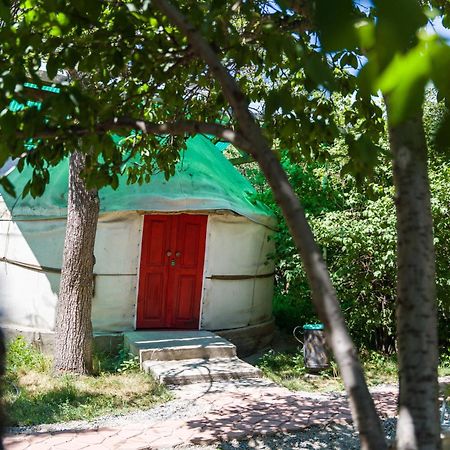 Arista Yurt Camp Hotel Karakol Exterior photo